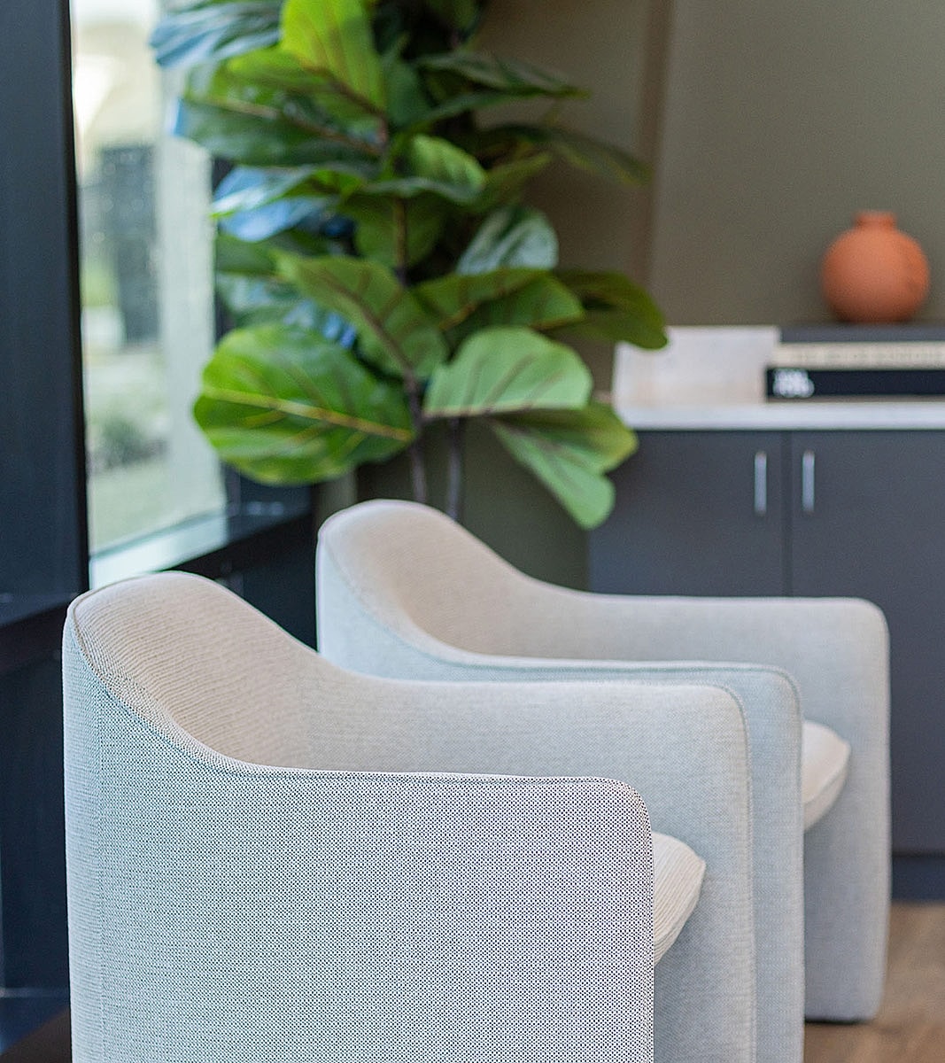 Modern chairs with plant in contemporary setting
