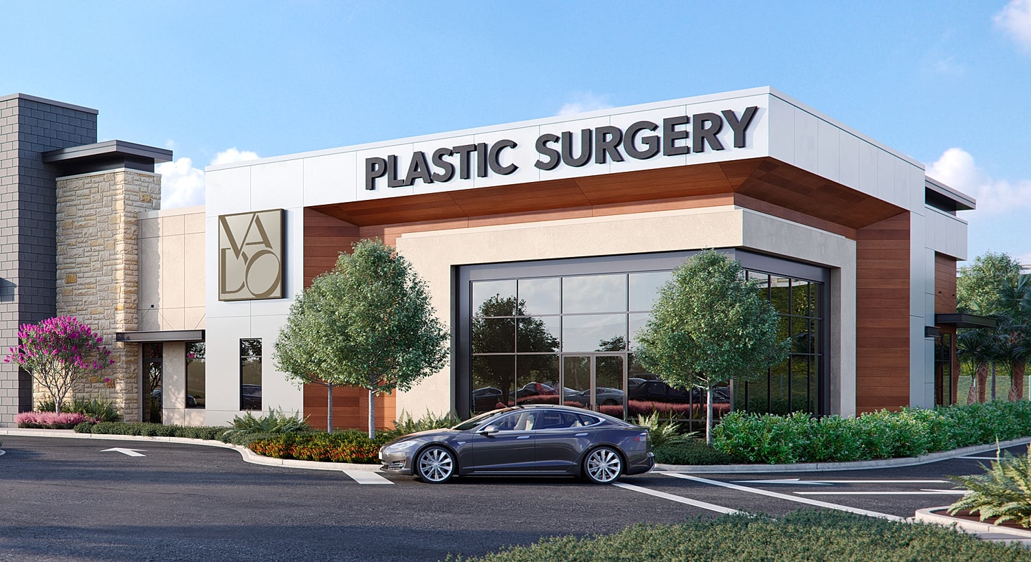 HZ Plastic Surgery Rebrand  Winter Garden